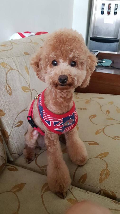 Leisure Homestay 화롄 외부 사진